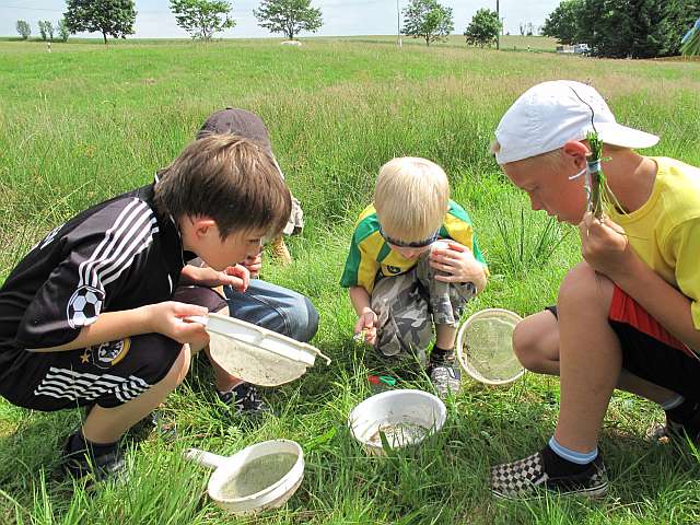 i Kinder mit Sieb auf der Wiese